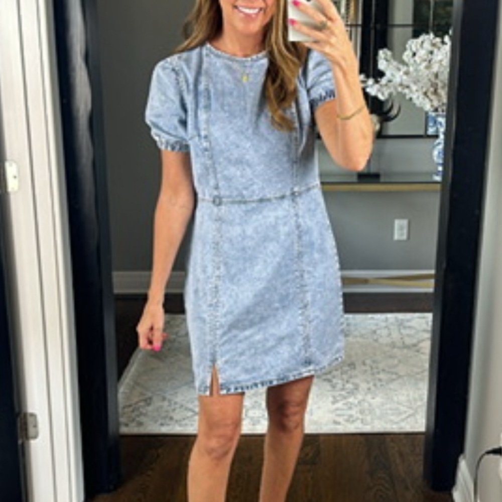Pink Lily Blue Puff Sleeve Sheath Dress